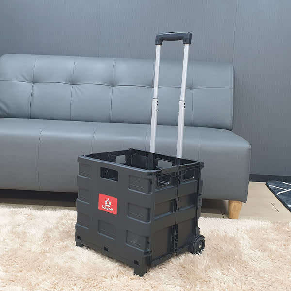 Portable shopping trolley