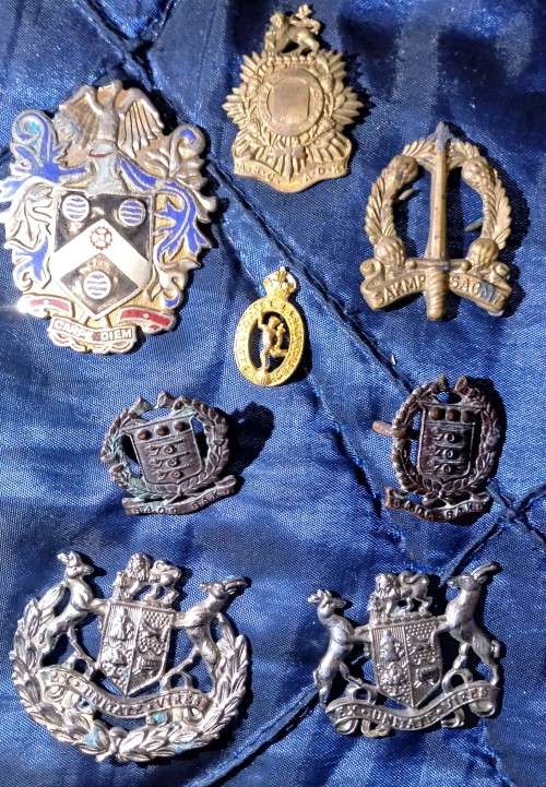 Cap/Collar/Shoulder Title Badges LOT 2