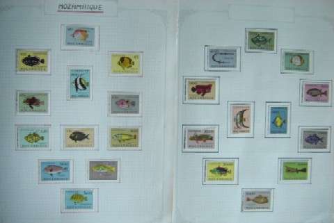 1951 Mozambique Fish Series (Mint)