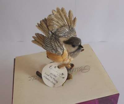 Coal Tit Flying - Country Artists