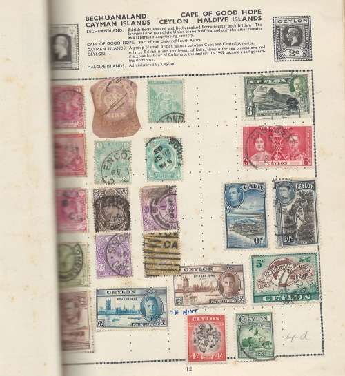 HUGE Collection of stamps in professional files and folders