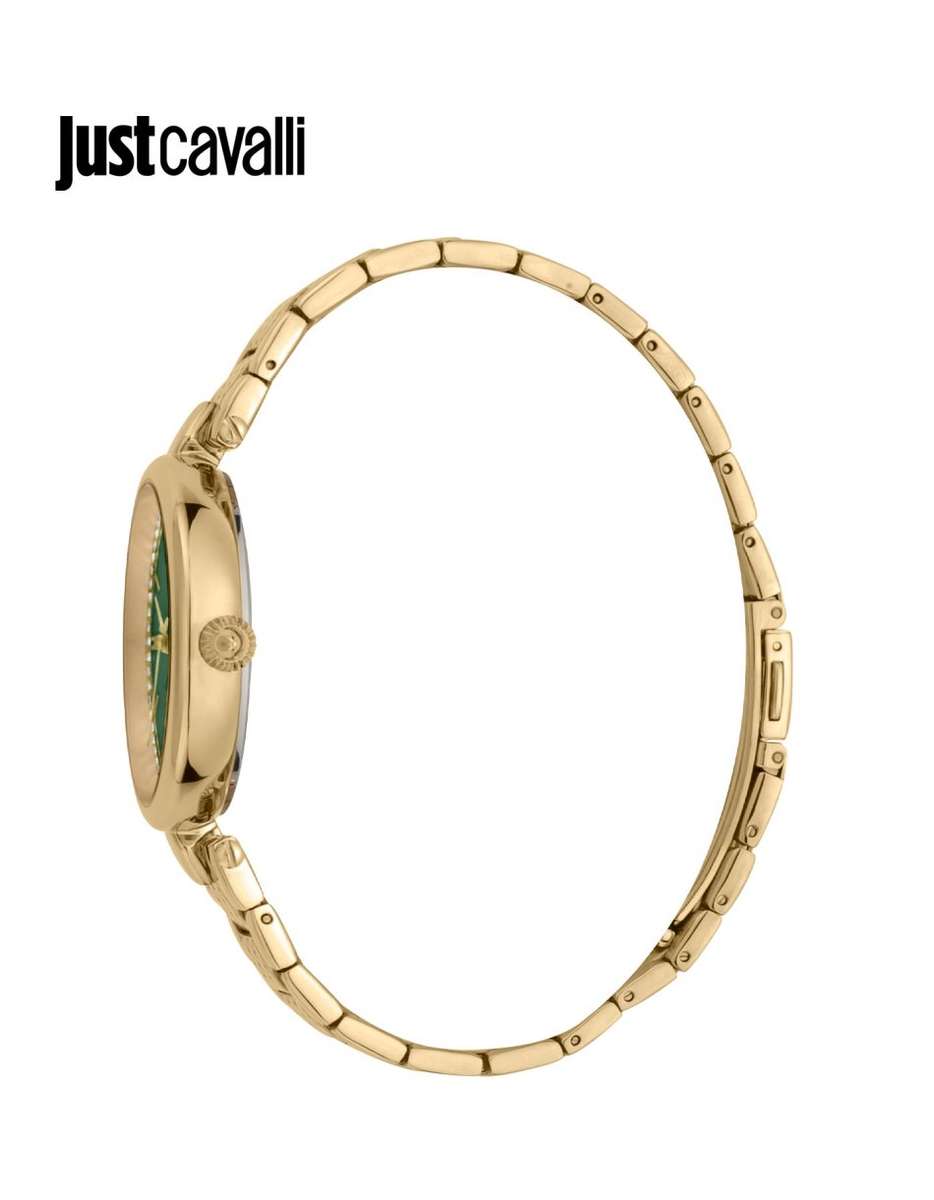 R6999.00 ROBERTO CAVALLI Women's JC Changi Diamante Zironia Milanese Steel NEW IN BOX