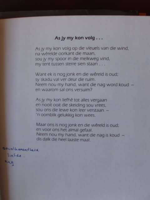 Kinders van die Wind - Koos du Plessis