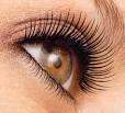 Full set of lashes