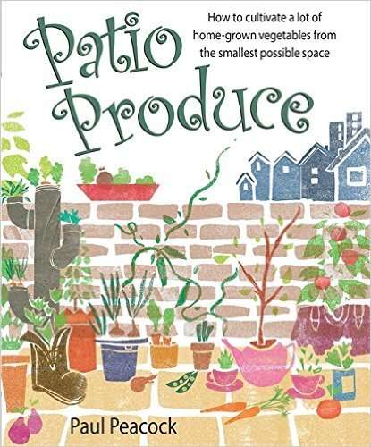 PATIO PRODUCE - How to cultivate a lot of home-grown vegetables from the smallest possible space