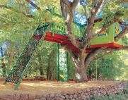 The COMPLETE GUIDE to TREEHOUSES - Design and build a TREEHOUSE! Fantastic Designs and Plans