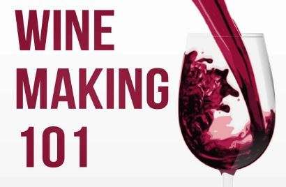 Wine Making 101: The Ultimate Guide to Making Delicious Wine at Home