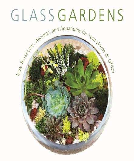 Glass Gardens - Easy terrariums, Aeriums, and Aquariums for your home or office