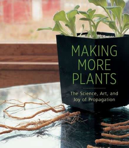 Making More Plants - The science, art and joy of propagation