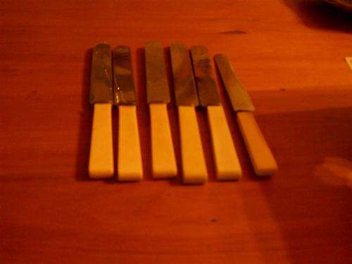 Six bone handled knives in good condition