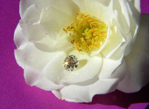 100% Natural Round Brilliant Cut DIAMOND! 0.3710cts VVS2  Excellent quality stone!