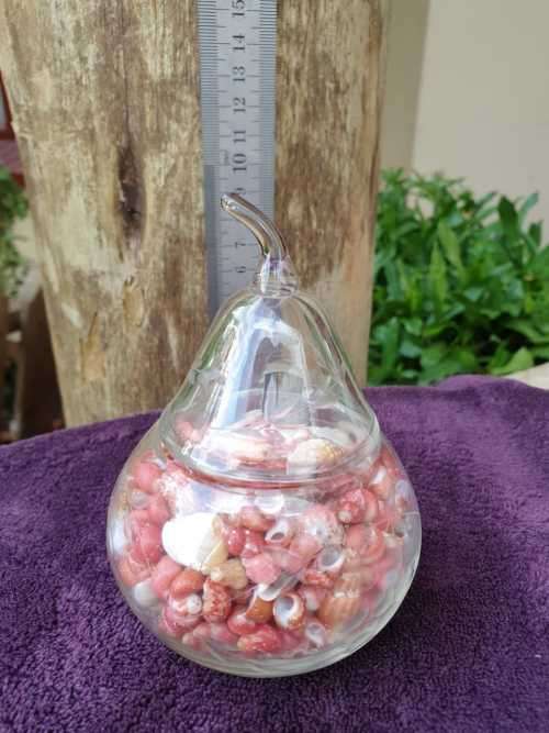 SMALL SHELLS IN A APPLE SHAPE GLASS