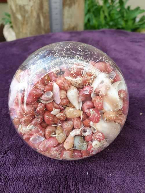 SMALL SHELLS IN A APPLE SHAPE GLASS