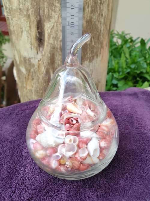 SMALL SHELLS IN A APPLE SHAPE GLASS