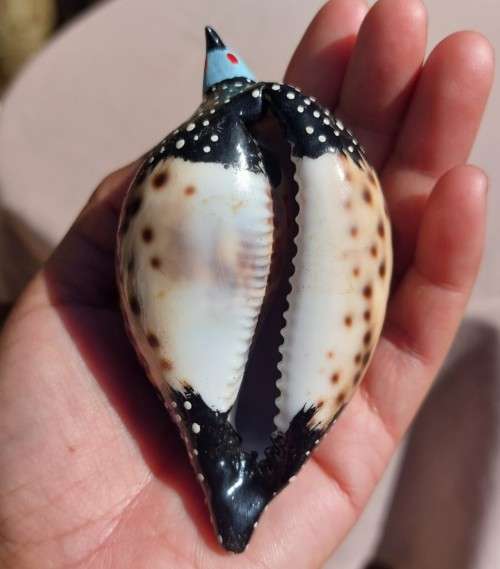 THE CUTEST COWRIE SHELL GUINEAFOWL PAINTED WITH CERAMIC HEADS