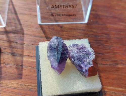 COLLECTION OF 19 ROCKS AND MINERAL SPECIMENS IN PERSPEX BOXES