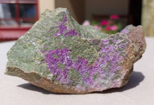 PURPLE ROCK SAMPLE OF RARE SUGILITE OR VERY RARE PURPURITE IN MANGANESE GREEN GRAY SLATE ORE