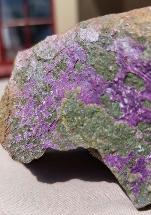 PURPLE ROCK SAMPLE OF RARE SUGILITE OR VERY RARE PURPURITE IN MANGANESE GREEN GRAY SLATE ORE