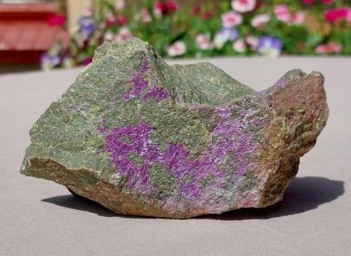 PURPLE ROCK SAMPLE OF RARE SUGILITE OR VERY RARE PURPURITE IN MANGANESE GREEN GRAY SLATE ORE