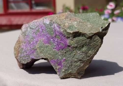 PURPLE ROCK SAMPLE OF RARE SUGILITE OR VERY RARE PURPURITE IN MANGANESE GREEN GRAY SLATE ORE