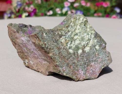PURPLE ROCK SAMPLE OF RARE SUGILITE OR VERY RARE PURPURITE IN MANGANESE GREEN GRAY SLATE ORE