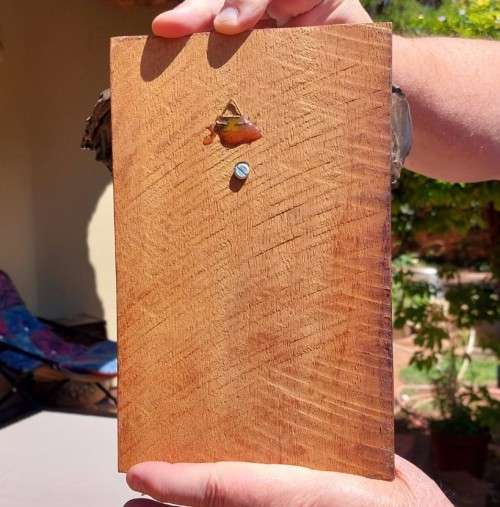 AFRICAN BULL ELEPHANT HENKMAM CLAY SCULPTURE WITH BRONZE COATING ON WOODEN WALL MOUNT