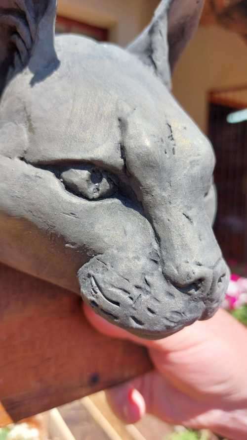 CARACAL (ROOIKAT) HENKMAM CLAY SCULPTURE WITH BRONZE COATING ON WOODEN WALL MOUNT