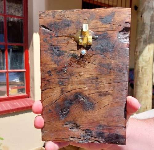 CARACAL (ROOIKAT) HENKMAM CLAY SCULPTURE WITH BRONZE COATING ON WOODEN WALL MOUNT