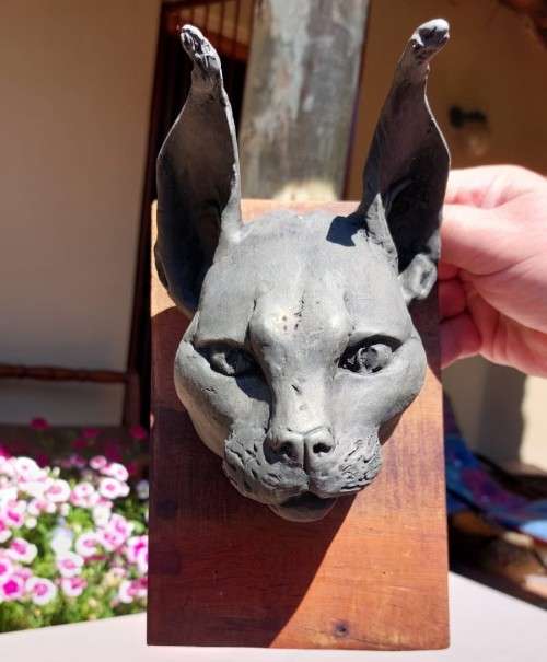 CARACAL (ROOIKAT) HENKMAM CLAY SCULPTURE WITH BRONZE COATING ON WOODEN WALL MOUNT