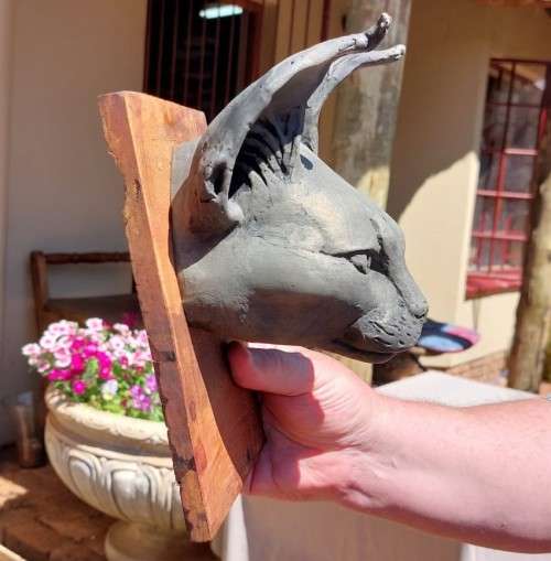 CARACAL (ROOIKAT) HENKMAM CLAY SCULPTURE WITH BRONZE COATING ON WOODEN WALL MOUNT