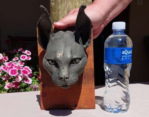 CARACAL (ROOIKAT) HENKMAM CLAY SCULPTURE WITH BRONZE COATING ON WOODEN WALL MOUNT