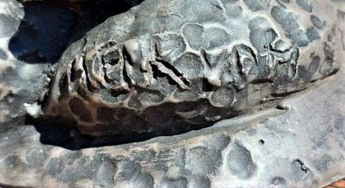 CARACAL (ROOIKAT) HENKMAM CLAY SCULPTURE WITH BRONZE COATING ON WOODEN WALL MOUNT