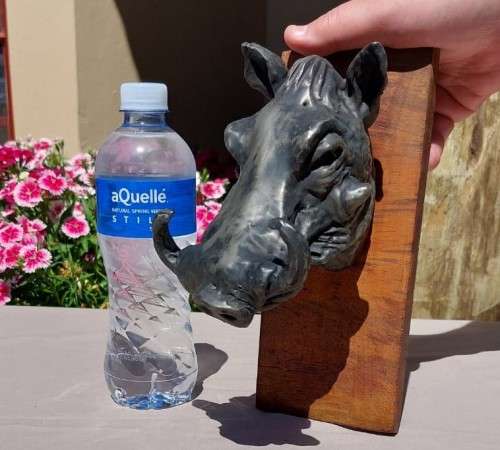 WARTHOG HENKMAM CLAY SCULPTURE WITH BRONZE COATING ON WOODEN WALL MOUNT