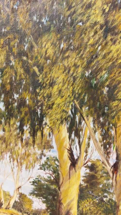 VINTAGE EUCALYPTUS TREES ORIGINAL OIL ON CANVAS PAINTING BY RELINE PRETORIUS LARGE 70CM W 60CM H