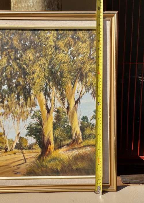 VINTAGE EUCALYPTUS TREES ORIGINAL OIL ON CANVAS PAINTING BY RELINE PRETORIUS LARGE 70CM W 60CM H