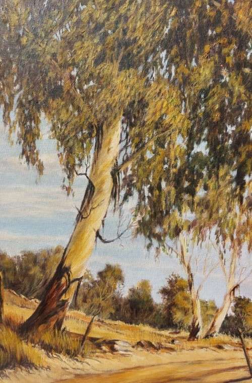 VINTAGE EUCALYPTUS TREES ORIGINAL OIL ON CANVAS PAINTING BY RELINE PRETORIUS LARGE 70CM W 60CM H