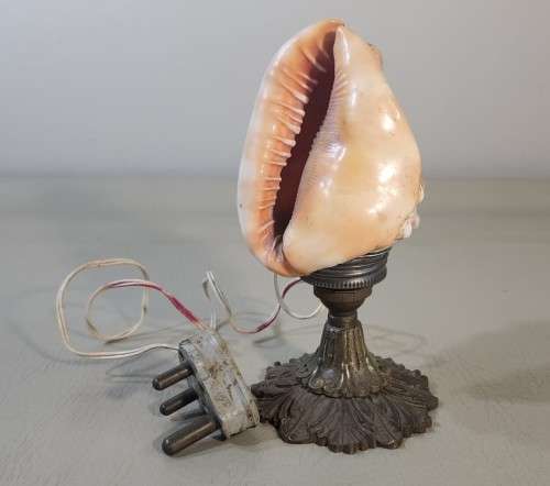 RED CASSIS RUFA BULLMOUTH HELMET SHELL NIGHTTIME TABLE LIGHT