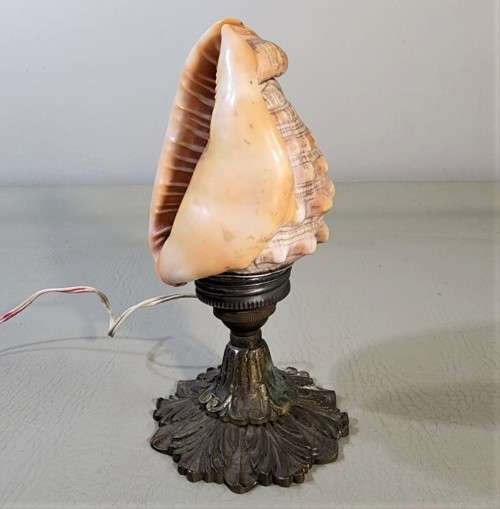 RED CASSIS RUFA BULLMOUTH HELMET SHELL NIGHTTIME TABLE LIGHT