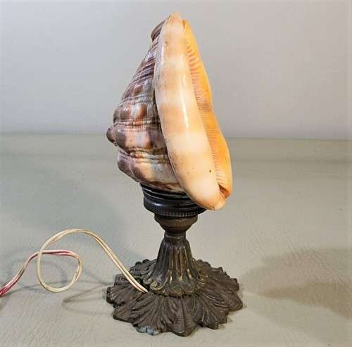 RED CASSIS RUFA BULLMOUTH HELMET SHELL NIGHTTIME TABLE LIGHT