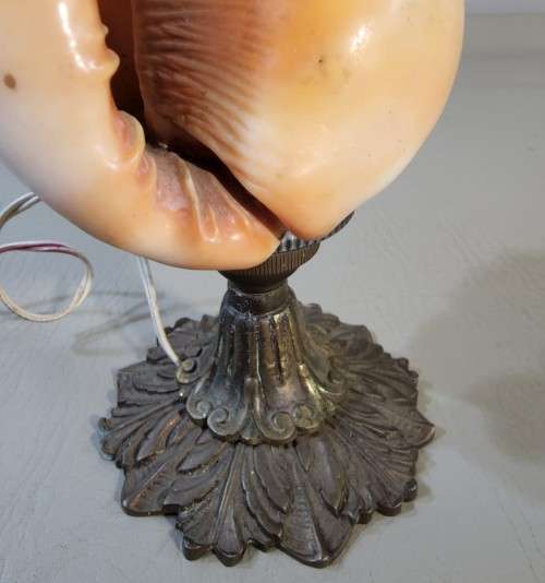 RED CASSIS RUFA BULLMOUTH HELMET SHELL NIGHTTIME TABLE LIGHT