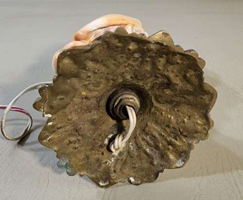 RED CASSIS RUFA BULLMOUTH HELMET SHELL NIGHTTIME TABLE LIGHT