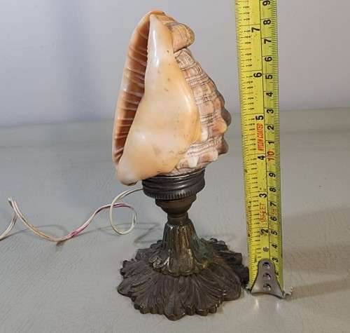 RED CASSIS RUFA BULLMOUTH HELMET SHELL NIGHTTIME TABLE LIGHT