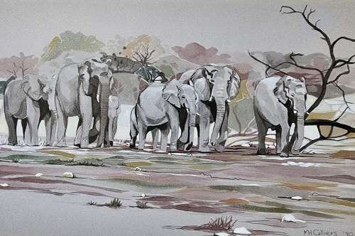 HERD OF ELEPHANTS 1980 ORIGINAL WATERCOLOUR  BY MH CILLIERS (SA ARTIST)