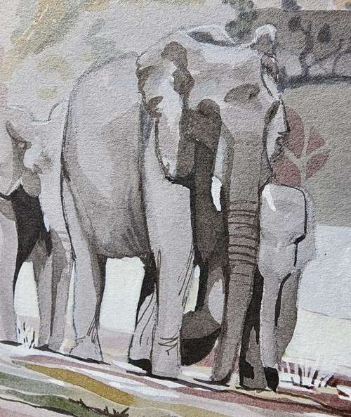 HERD OF ELEPHANTS 1980 ORIGINAL WATERCOLOUR  BY MH CILLIERS (SA ARTIST)