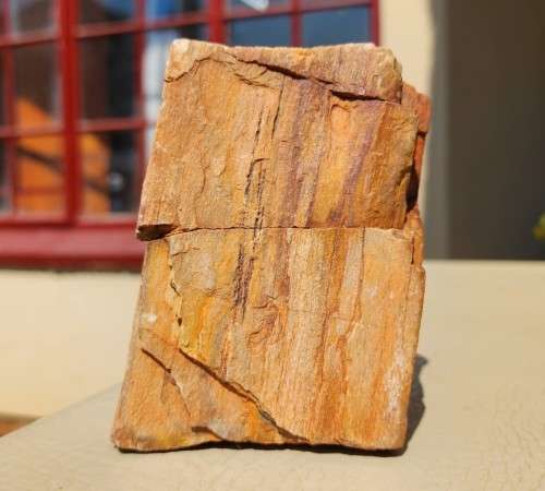 PETRIFIED WOOD FOSSIL FROM NAMIBIA 280 MILLION YEARS OLD