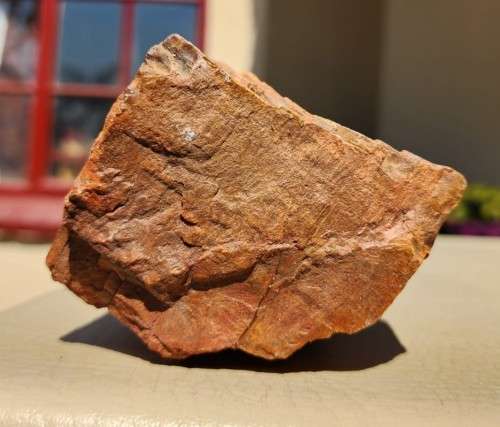 PETRIFIED WOOD FOSSIL FROM NAMIBIA 280 MILLION YEARS OLD