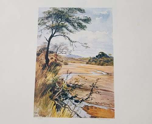 LIMITED EDITION NO 30 OF 500  ALICE BALFOUR RHODESIAN 1894 LANDSCAPE WATERCOLOURS