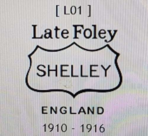 EDWARDIAN (1910-1916) GENTLEMANS LATE FOLEY SHELLEY MOUSTACHE CUP AND SAUCER