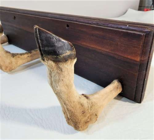 VINTAGE IMPALA FEET COAT HANGER OR GUN RACK