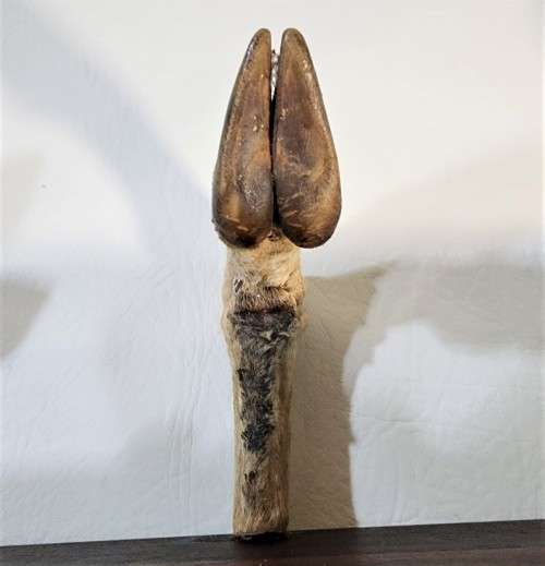 VINTAGE IMPALA FEET COAT HANGER OR GUN RACK